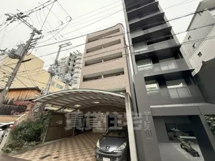 マホガニーコートの画像