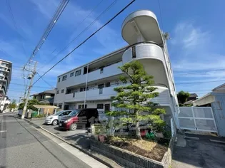 ヒルコートイズミの画像