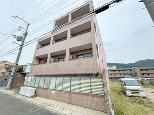 プリンセスコートアイの画像