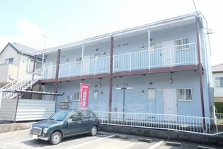 ハイムラベンダーの画像