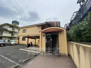 パラシオン蘭の画像