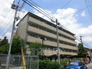 ヤングヴィレッジ嵯峨【4階】の外観