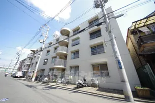 ブルーハイツの画像