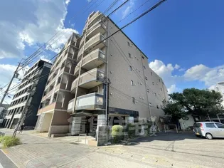 エストレーラの画像