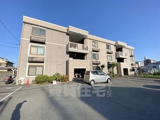 メゾン・ピア【3階】の外観