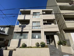 アネール桂の画像