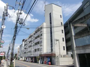 シェモア桂の画像