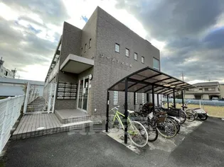 ジャスティ川島の画像