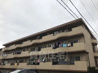 三豊マンション瑞穂の画像