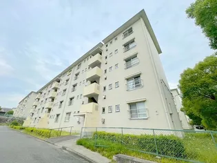 金剛第三住宅222棟【5階】の外観