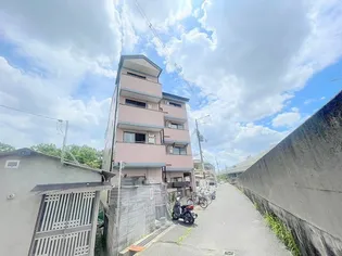 ロイヤルシャトー藤井寺1【4階】の外観