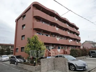 ルピナス イーストの画像