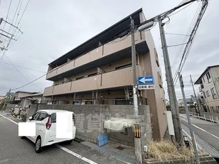 シャルマンの画像