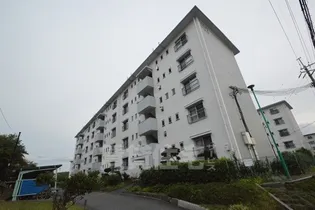 男山第2住宅 114号棟【3階】の外観