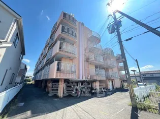 ニューエストタカダの画像