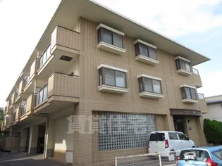 大阪府堺市中区深阪4丁【マンション】の外観