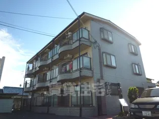 シャトレータカヤの画像