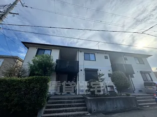 ヴァンコリーヌの画像