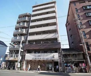 シリウス星の子の画像