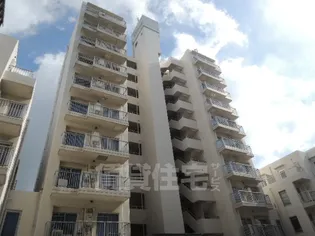 アメニティー新高二番館(高層棟)【8階】の外観