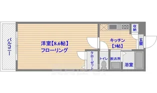 プレシャス天神南【6階】の間取り