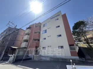 エヌエムキャラントドゥの画像