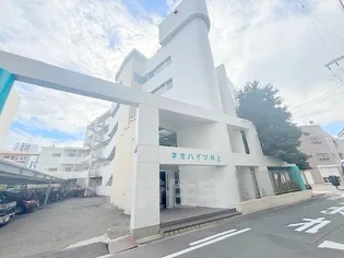 ネオハイツ井上の画像
