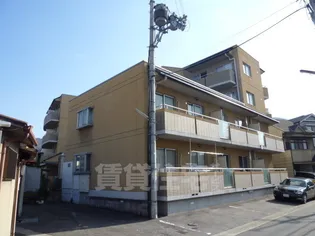 メゾンドシプレ【1階】の外観