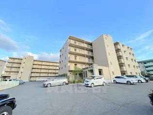 ベルヴィ栗東【4階】の外観