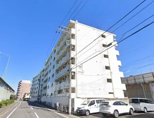 露橋ロイヤルハイツⅠの画像