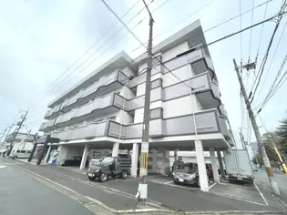 第二グレース安田の画像