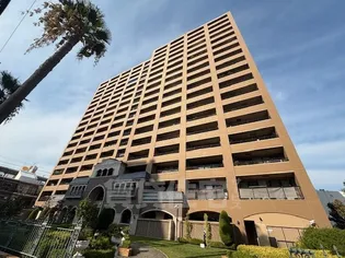 大阪府堺市中区深井清水町【マンション】の外観