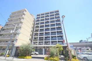 MDI三国コートの画像