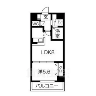 アイン橘【6階】の間取り