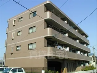 リバーサイド雅【4階】の外観