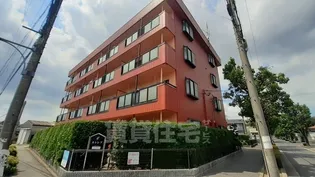 カトレアの画像