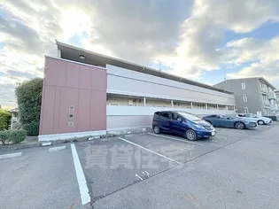 サーキディットの画像