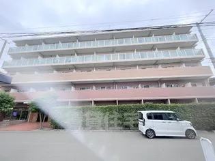 アイズグランデの画像