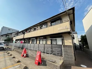 オリーブ羽衣の画像