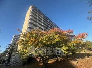 新北野コーポC棟の画像