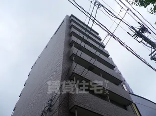 ラ ベル ヴィーの画像