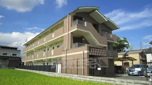 ラフィーネ桂【105号室】の外観