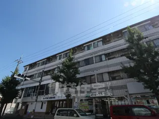 グランドールトキの画像