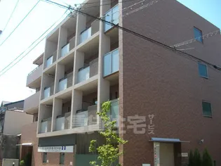 プルメリアの画像