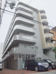 セノータの画像