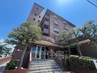 パストラル羽衣の画像