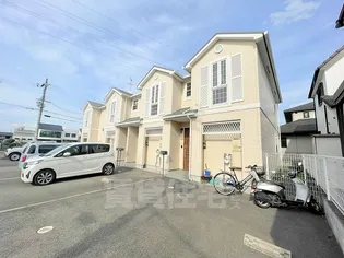 サンテルノの画像