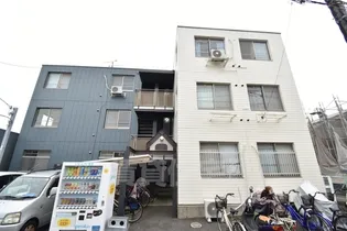 グローリー桂の画像