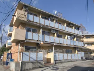 ロイヤルパレス大枝の画像