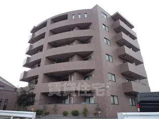 カーディフ山田の画像